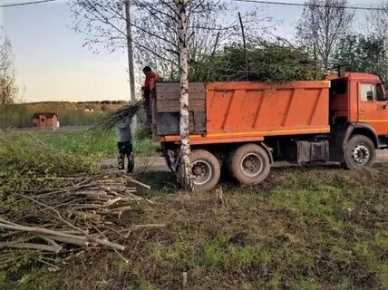 Вывоз веток, спила и садового мусора